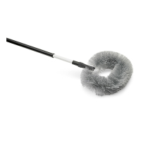 Staubbiene mit Telestiel, oval